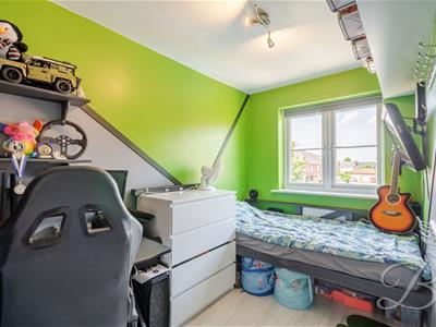 Picture 20